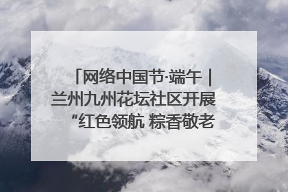 网络中国节·端午｜兰州九州花坛社区开展“红色领航 粽香敬老”端午主题活动