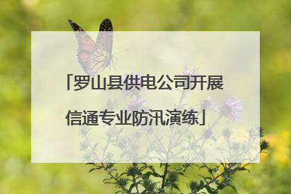 罗山县供电公司开展信通专业防汛演练