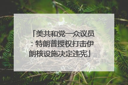 美共和党一众议员：特朗普授权打击伊朗核设施决定违宪