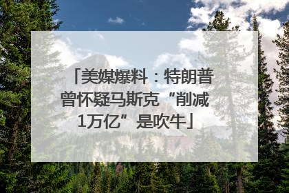 美媒爆料：特朗普曾怀疑马斯克“削减1万亿”是吹牛