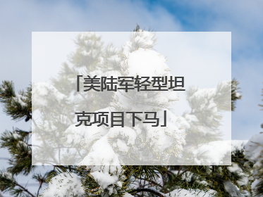 美陆军轻型坦克项目下马