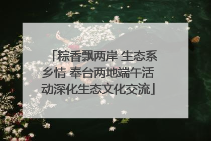 粽香飘两岸 生态系乡情 奉台两地端午活动深化生态文化交流