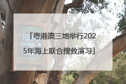 粤港澳三地举行2025年海上联合搜救演习