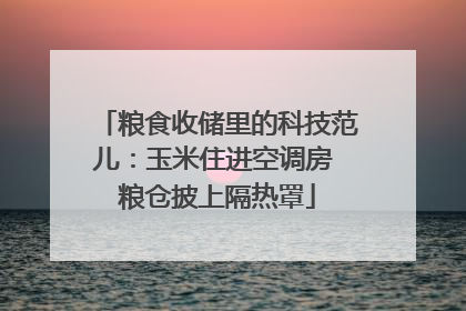粮食收储里的科技范儿：玉米住进空调房 粮仓披上隔热罩