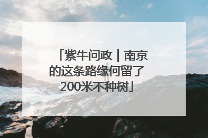紫牛问政｜南京的这条路缘何留了200米不种树