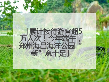 累计接待游客超5万人次！今年端午，郑州海昌海洋公园“新”意十足