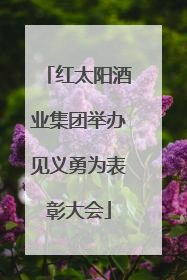 红太阳酒业集团举办见义勇为表彰大会
