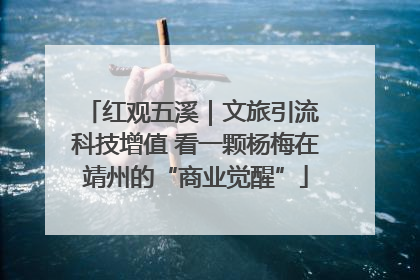 红观五溪｜文旅引流 科技增值 看一颗杨梅在靖州的“商业觉醒”