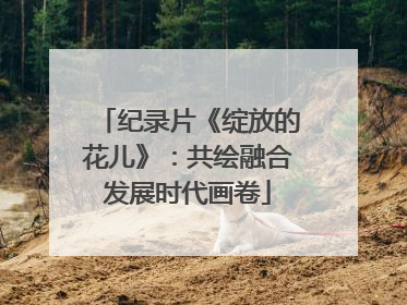 纪录片《绽放的花儿》：共绘融合发展时代画卷