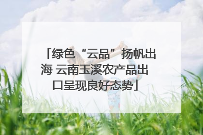 绿色“云品”扬帆出海 云南玉溪农产品出口呈现良好态势