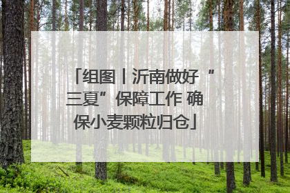 组图丨沂南做好“三夏”保障工作 确保小麦颗粒归仓