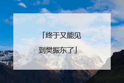 终于又能见到樊振东了