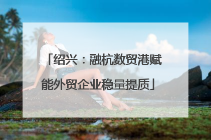 绍兴：融杭数贸港赋能外贸企业稳量提质