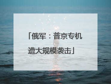 俄军：普京专机遭大规模袭击