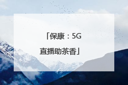 保康：5G直播助茶香