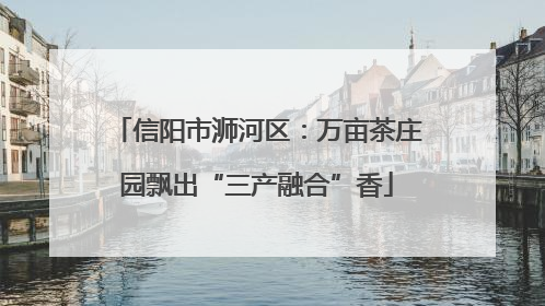 信阳市浉河区：万亩茶庄园飘出“三产融合”香