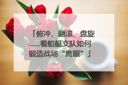 俯冲、翻滚、盘旋……看船艇支队如何锻造战场“鹰眼”