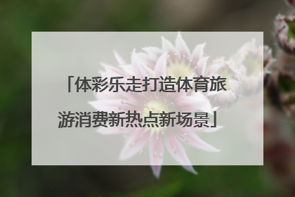 体彩乐走打造体育旅游消费新热点新场景