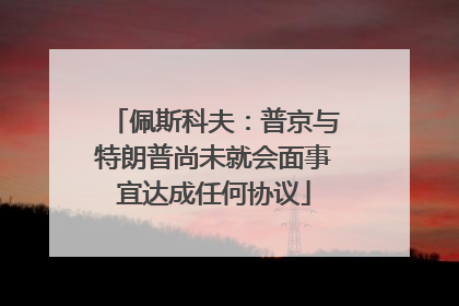 佩斯科夫：普京与特朗普尚未就会面事宜达成任何协议