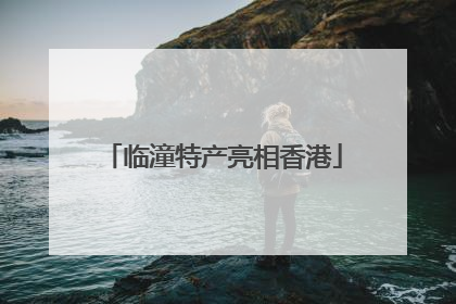 临潼特产亮相香港
