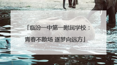 临汾一中第一附属学校：青春不散场 逐梦向远方