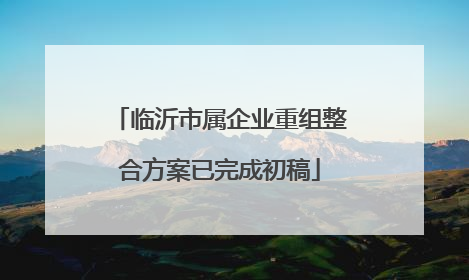 临沂市属企业重组整合方案已完成初稿