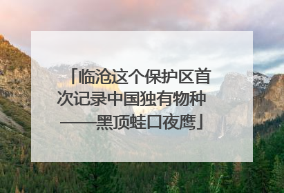 临沧这个保护区首次记录中国独有物种——黑顶蛙口夜鹰