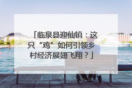 临泉县迎仙镇：这只“鸡”如何引领乡村经济展翅飞翔？