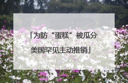 为防“蛋糕”被瓜分 美国罕见主动推销