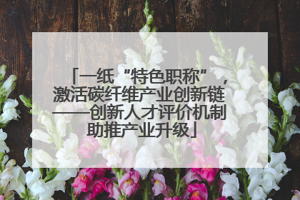 一纸“特色职称”，激活碳纤维产业创新链——创新人才评价机制 助推产业升级