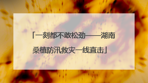一刻都不敢松劲——湖南桑植防汛救灾一线直击