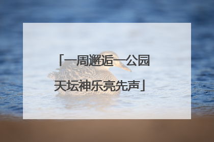一周邂逅一公园 天坛神乐亮先声