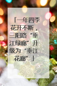 一年四季花开不断，三阳路“垂江绿廊”升级为“垂江花廊”