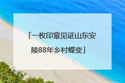 一枚印章见证山东安陵88年乡村蝶变