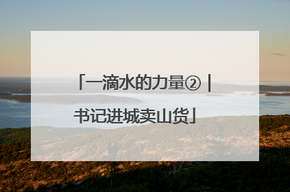 一滴水的力量②｜书记进城卖山货
