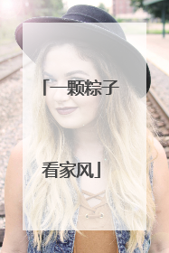 一颗粽子看家风