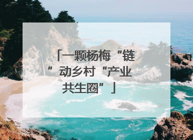 一颗杨梅“链”动乡村“产业共生圈”