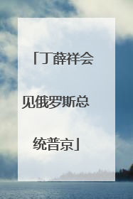 丁薛祥会见俄罗斯总统普京