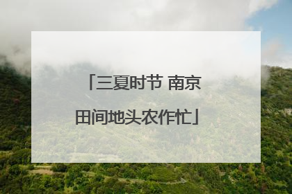 三夏时节 南京田间地头农作忙