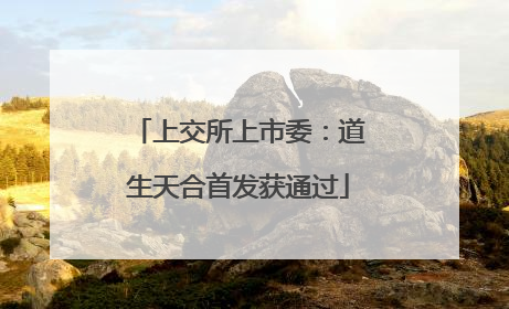 上交所上市委：道生天合首发获通过