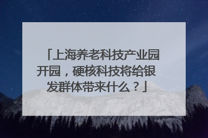 上海养老科技产业园开园，硬核科技将给银发群体带来什么？