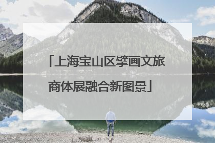 上海宝山区擘画文旅商体展融合新图景