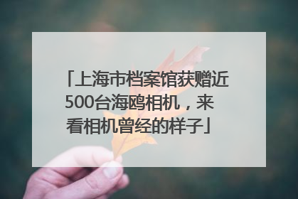 上海市档案馆获赠近500台海鸥相机，来看相机曾经的样子