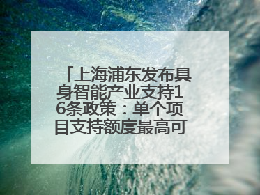 上海浦东发布具身智能产业支持16条政策：单个项目支持额度最高可达亿级