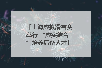 上海虚拟滑雪赛举行 “虚实结合”培养后备人才