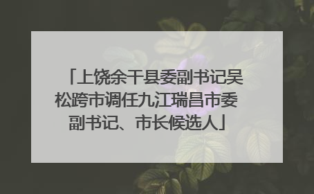 上饶余干县委副书记吴松跨市调任九江瑞昌市委副书记、市长候选人