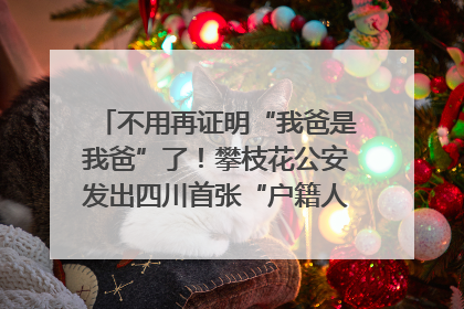 不用再证明“我爸是我爸”了！攀枝花公安发出四川首张“户籍人口直系亲属关系谱”