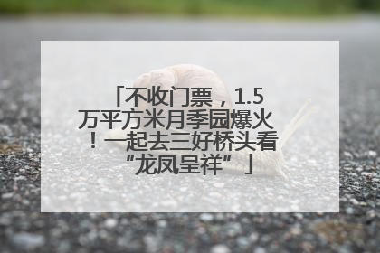 不收门票，1.5万平方米月季园爆火！一起去三好桥头看“龙凤呈祥”