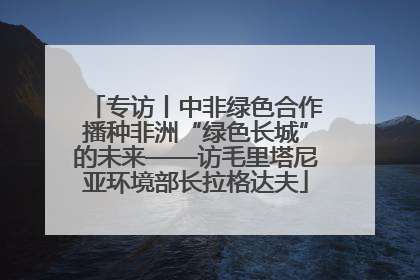 专访丨中非绿色合作播种非洲“绿色长城”的未来——访毛里塔尼亚环境部长拉格达夫