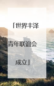 世界丰泽青年联谊会成立
